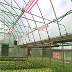 Galvanized Stainless Steel Greenhouse Solar Mounting Structure