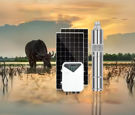 Goede prijs. Optimale invoerspanning 60V-90V gelijkstroom zonnewaterpomp met MPPT-controllertype en maximale doorstroming 3,8m3/h online