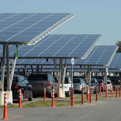 Goede prijs. De grond zet Carport-Zonnestelsels met Natuurlijke Kleur 10 15 op 20 30 Schuine standhoek online