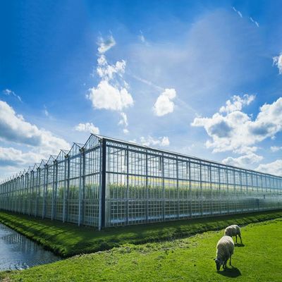 Goede prijs. Het multizonnestelsel van de Doel500kw BIPV Serre online