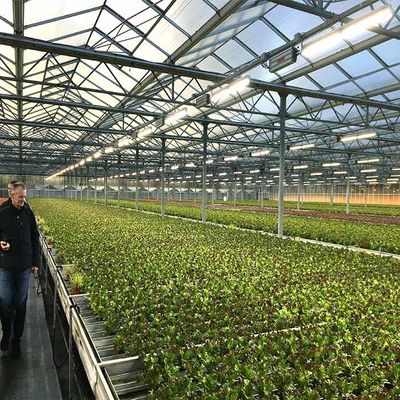 Goede prijs. Van de de Landbouw Zonne-energie van de corrosieweerstand Serre 2.0mm 2.5mm Dikte online