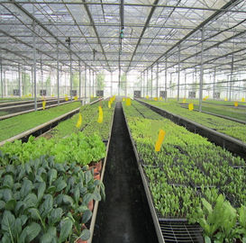 Goede prijs. 5kw de Grond van het serrezonnestelsel zet 10-60° Dikte 2.0mm/2.5mm van de Schuine standhoek op online