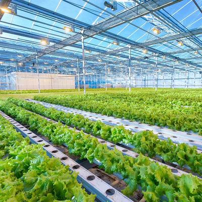 Goede prijs. De intelligente Regelbare van het het Zonnestelselkader van de Hoogteserre Lichtgewicht Photovoltaic Landbouw Opzettende Structuur online