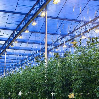 Goede prijs. De geïntegreerde PV Comité het Opzetten Systemenserres filmen dun de Structuur van de Modulesteun online