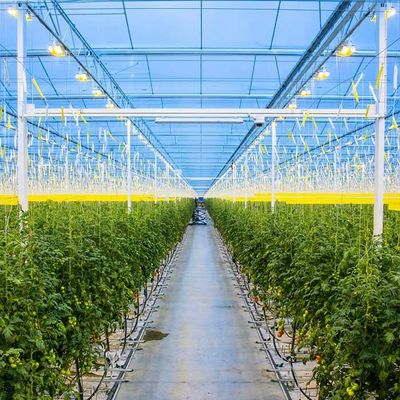 Goede prijs. Landbouw Gegalvaniseerde Zonnepv van het Staalkader Serre online