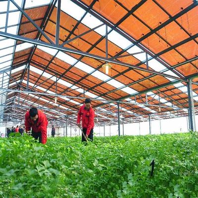 Goede prijs. Het hete Gegalvaniseerde Staalkader filmt dun de Structuur van de Modulesteun voor Photovoltaic Serres online