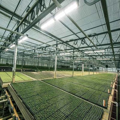 Goede prijs. Een Landbouw Zonne Aangedreven Serre van de Kader Openluchtirrigatie online