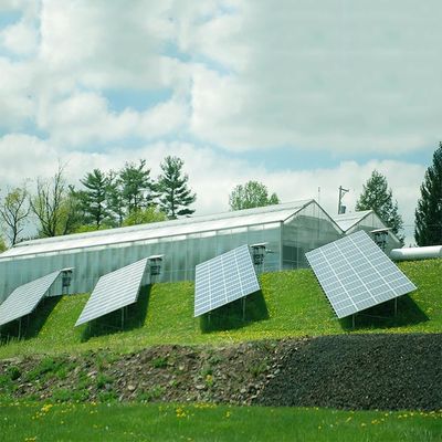Goede prijs. Het Landschap van metaalkaders of het Systeem van de Portret Zonnemacht voor Serre online