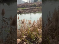 3 inch DC onderwater waterpomp met MPPT-controller